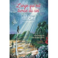 L'ange qui est tombé du ciel - Nathalie Desjardins