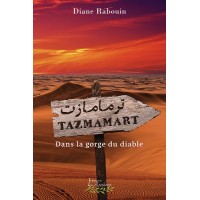 Tazmamart, dans la gorge du diable - Diane Rabouin